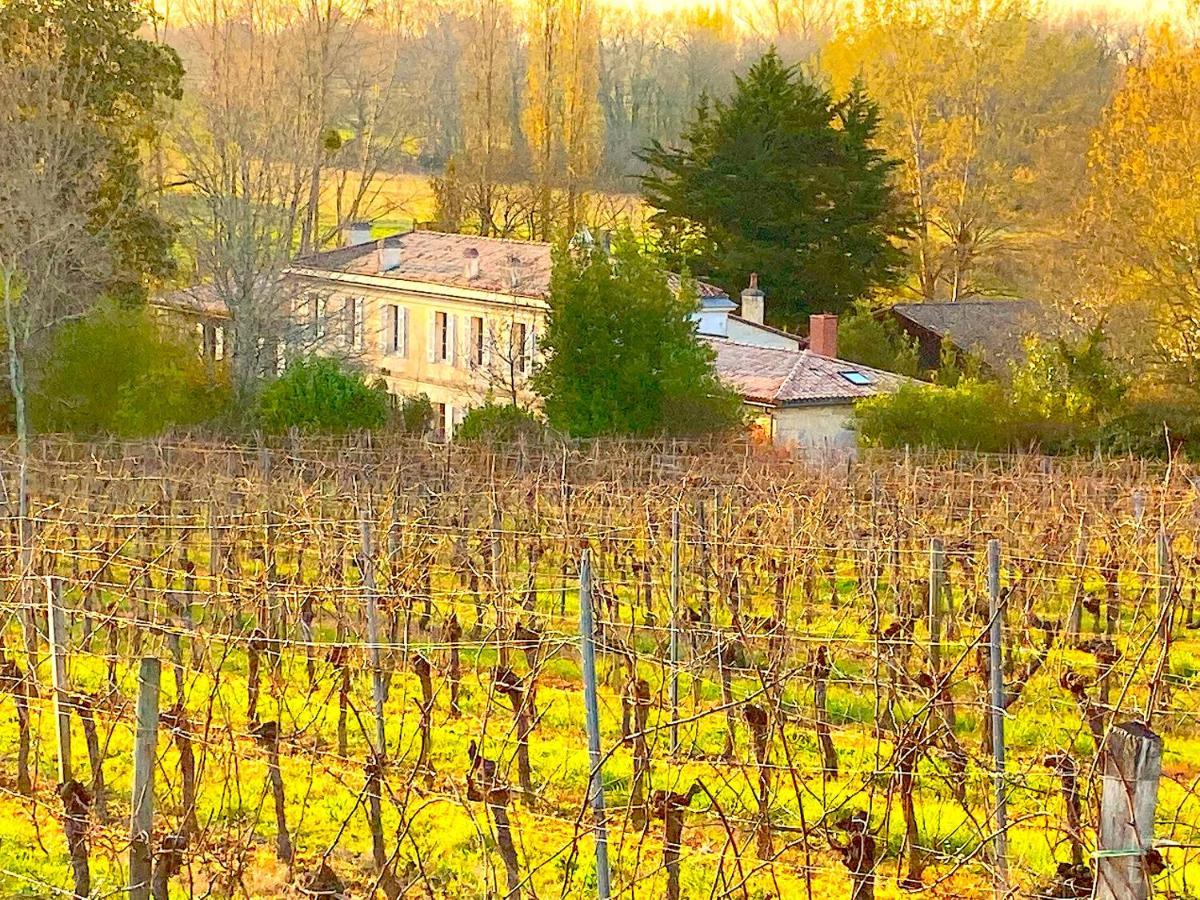 Montussan Fabuleux - Domaine Du Moulin D'Andraut Bordeaux-Chevaux-Golf-St Emilion 빌라 외부 사진