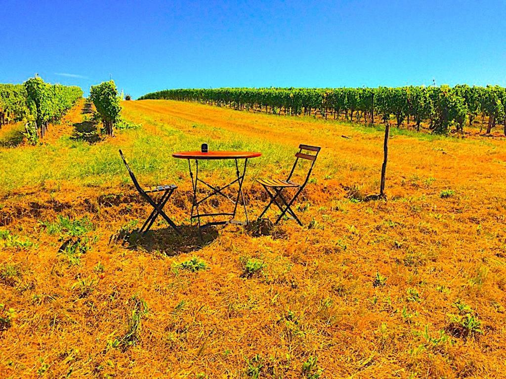 Montussan Fabuleux - Domaine Du Moulin D'Andraut Bordeaux-Chevaux-Golf-St Emilion 빌라 외부 사진